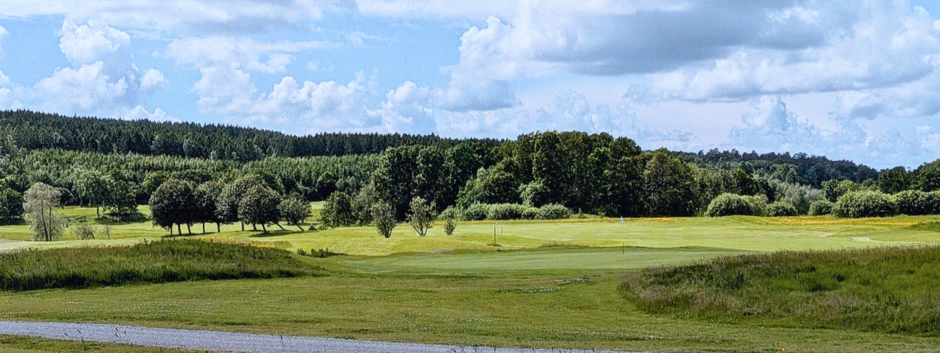 Vy från nordost: Den mörka skogsklädda bergryggen är Norra Forsbergen. Vy från nordost: Den mörka skogsklädda bergryggen är Norra Forsbergen. Marken framför kommer bebyggas
